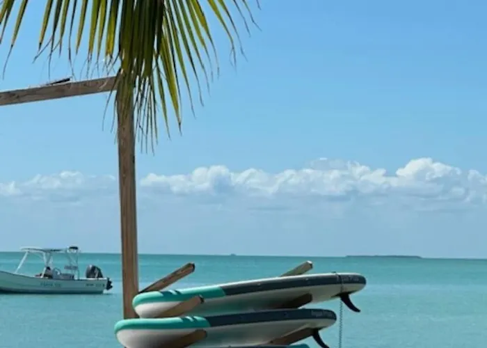 Secret House With Pool * San Pedro (Ambergris Caye)